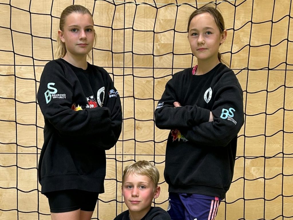 SV Einheit Demmin e.V.